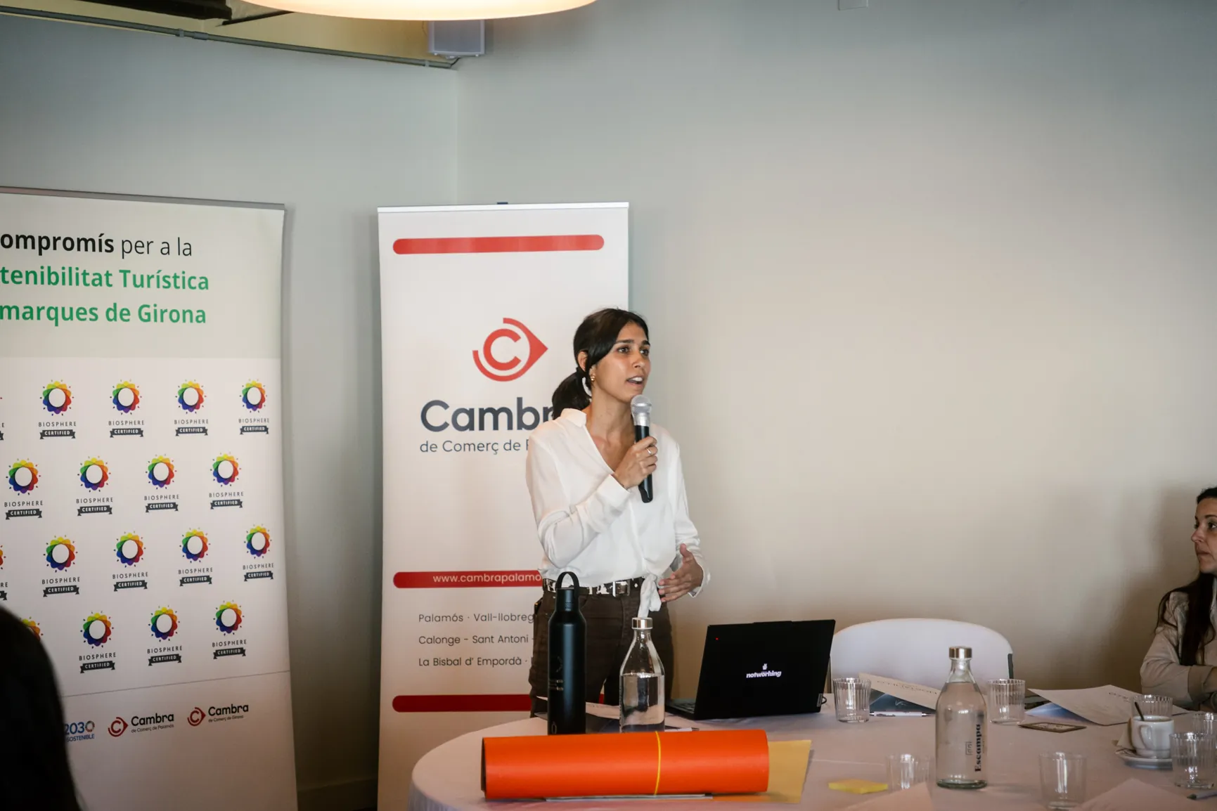 Vinea Eventos y Turismo: liderando la accesibilidad en turismo y eventos