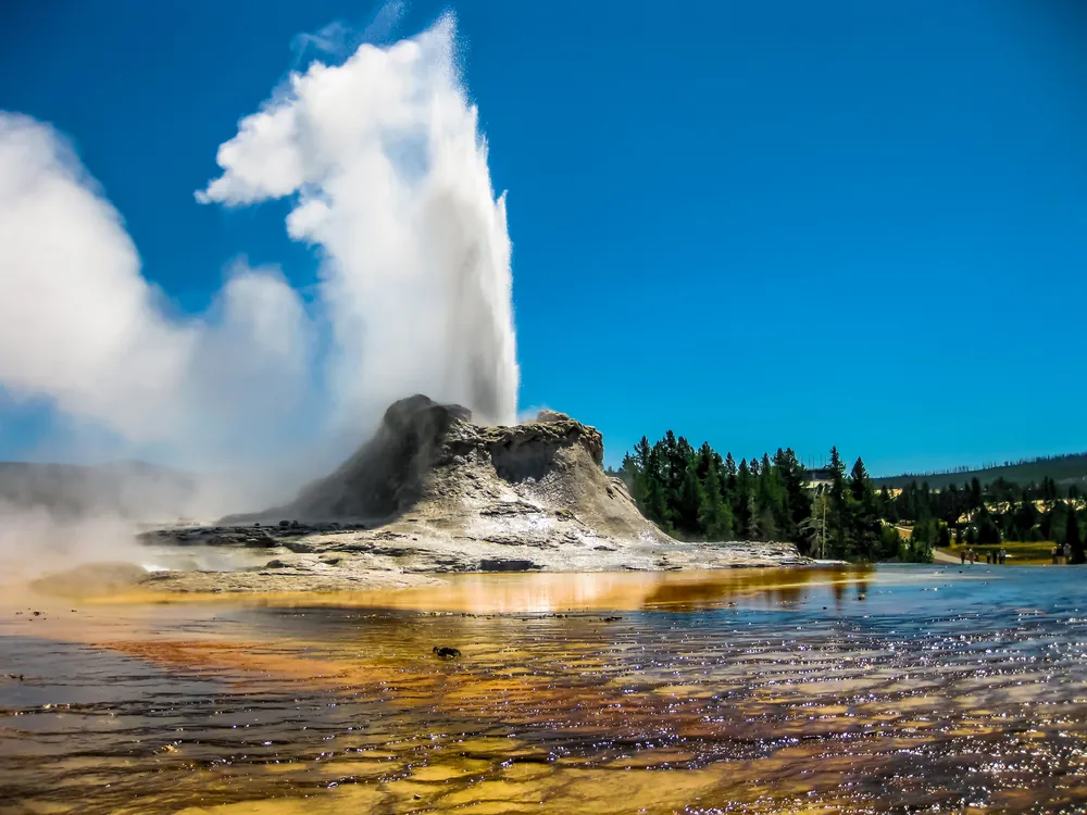Especialistas en viajes a Yellowstone: Descubre la naturaleza salvaje de América