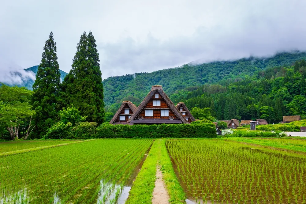 Especialistas en Japón a medida: Descubre los Alpes Japoneses