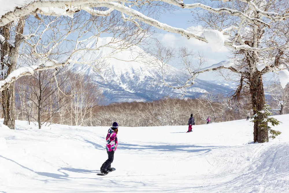 Esquí en Sapporo y Niseko: Un Viaje a Medida Inolvidable