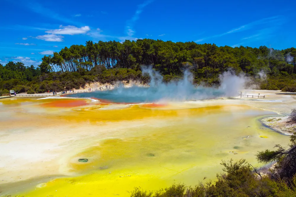 Rotorua: Una Experiencia Única en Aguas Termales