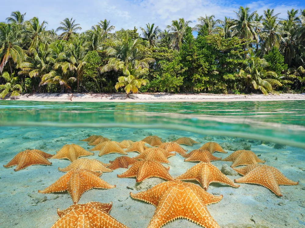 Viaje a medida a Panamá: San Blas vs Bocas del Toro