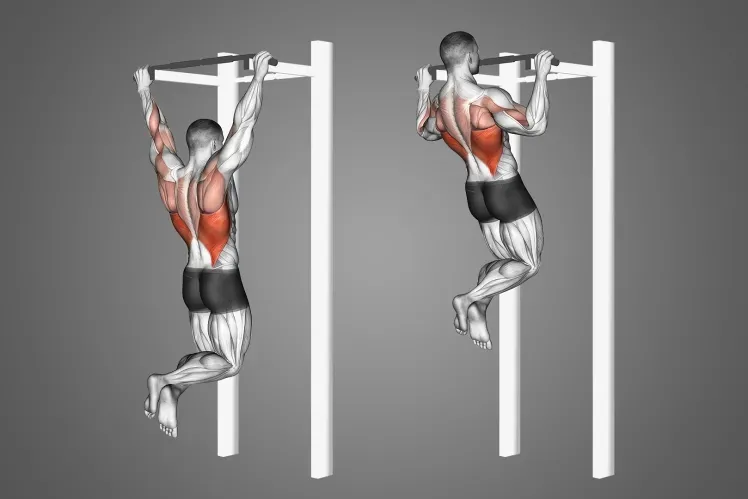 Comparativa entre jalones y dominadas: ¿Cuál es mejor para ti?