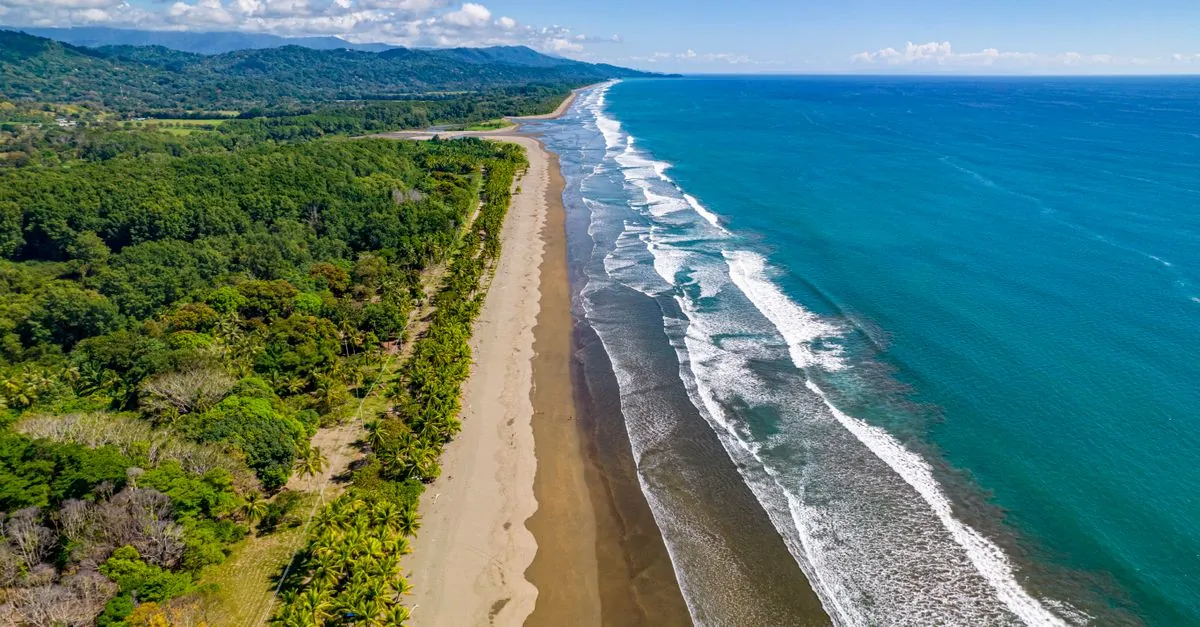 Fotos de stock gratuitas de agua, América del Norte, arboles