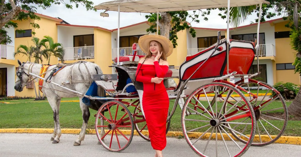Fotos de stock gratuitas de al aire libre, arquitectura, caballo