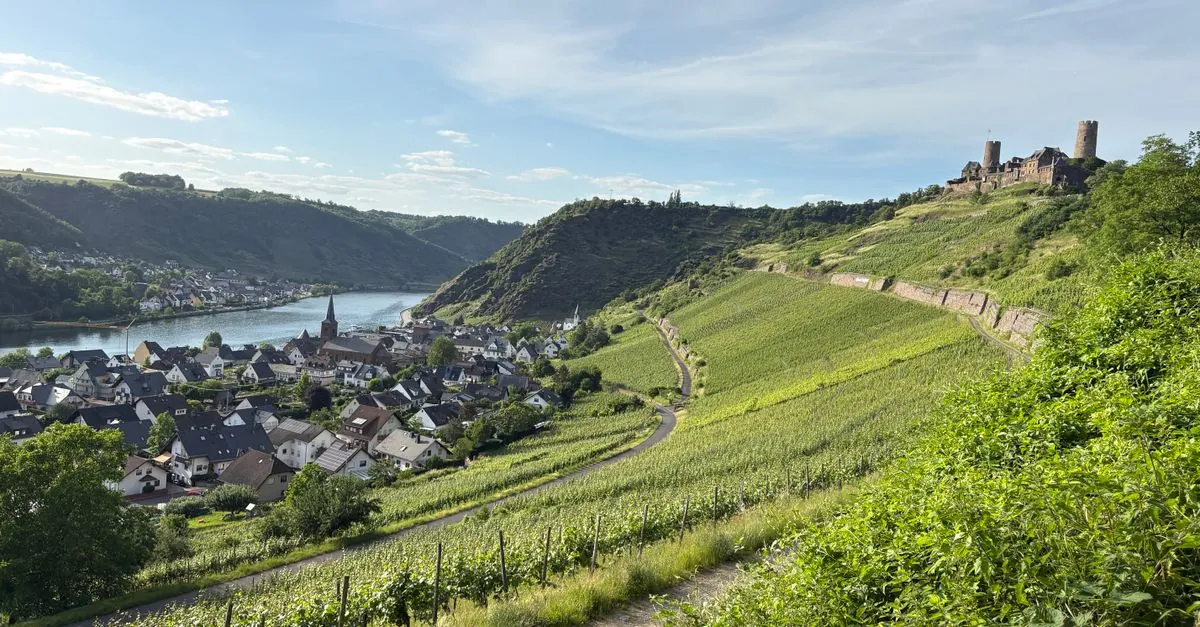 Vista de Boppard con sus viñedos y castillos históricos con vistas al Rin en un día soleado.