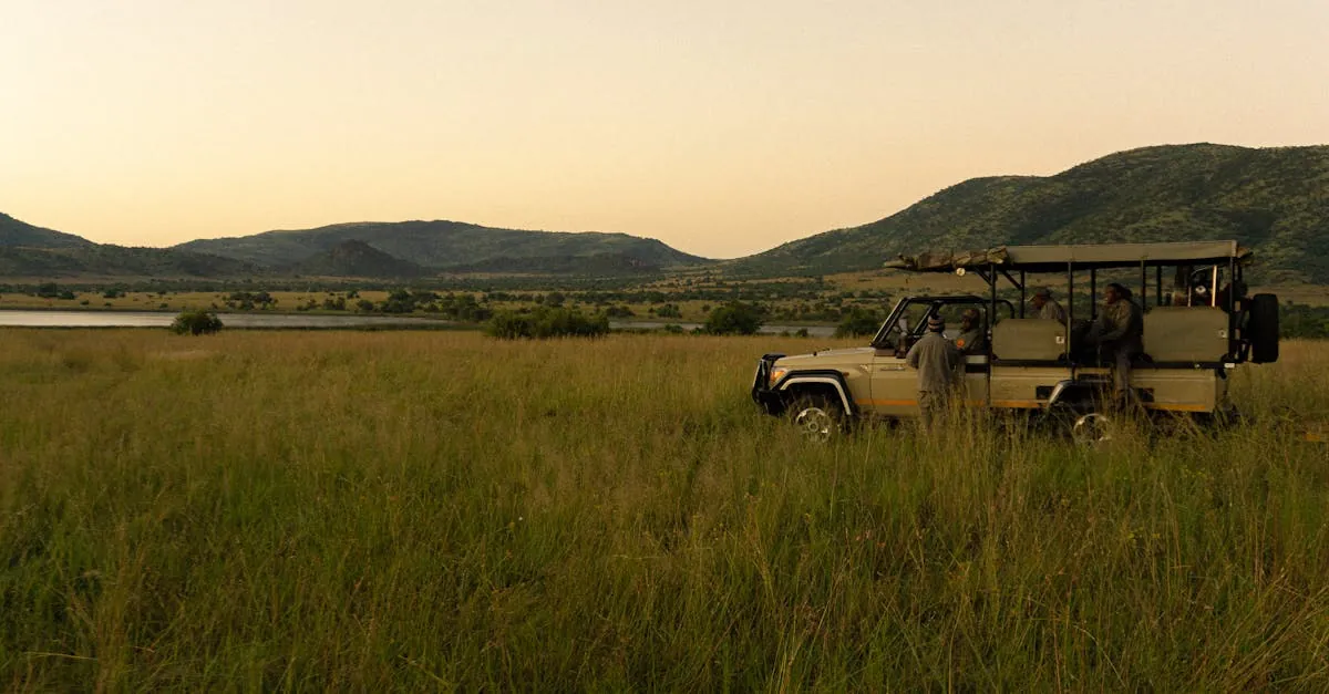 Fotos de stock gratuitas de África, al aire libre, anochecer