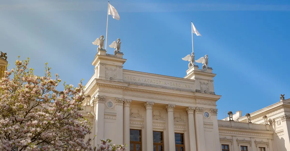 La importancia de la universidad en la formación profesional