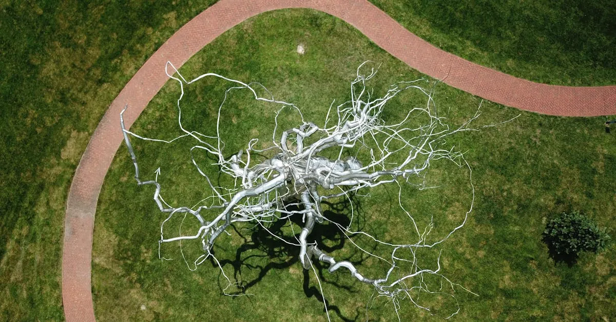 Cómo Funcionan los Algoritmos de las Redes Sociales